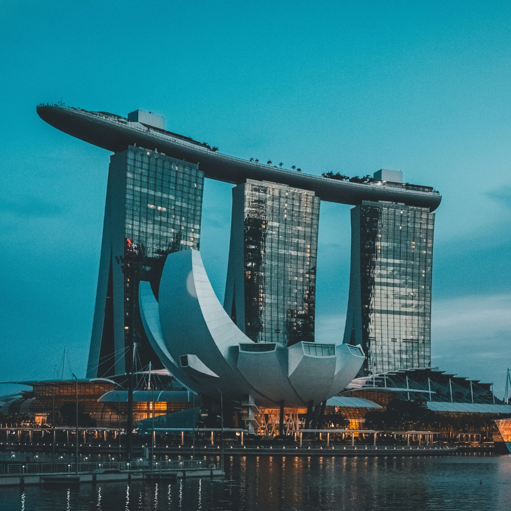 How to survive in the Singapore IT job market?