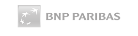 BNP Paribas Consulting